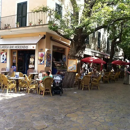 Allotjaments Serra De Tramuntana 2* ולדמוסה